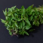 Holy Basil Benefits for Glowing Skin