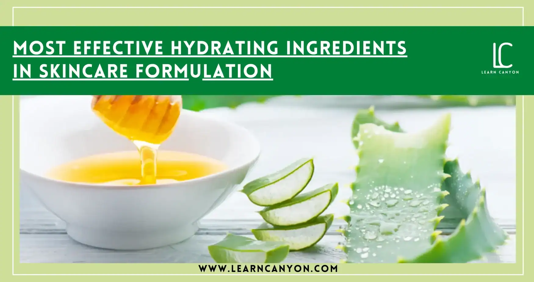 Top Hydrating Ingredients For Skincare Formulation