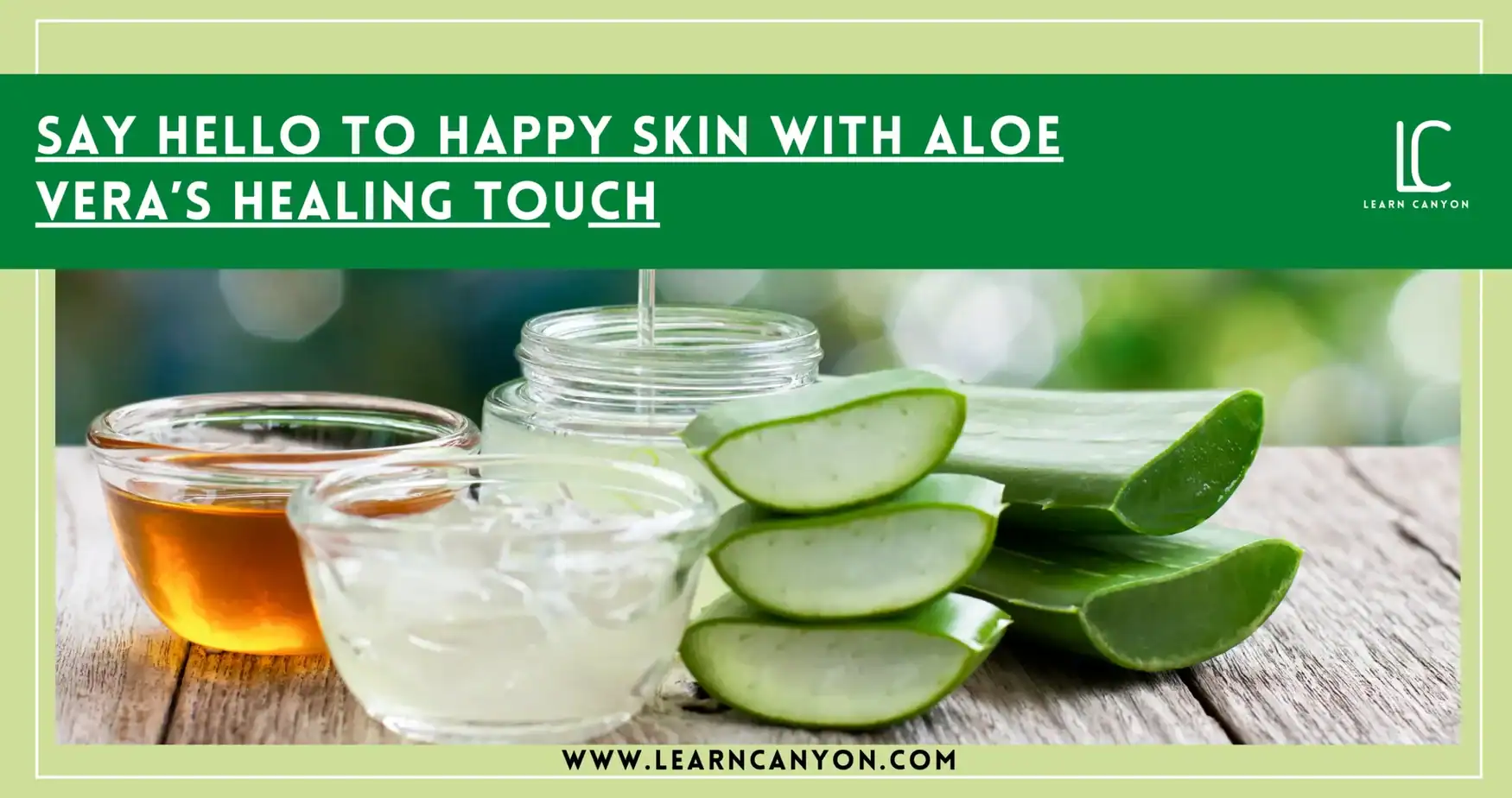 Heal And Hydrate Your Skin With Aloe Vera