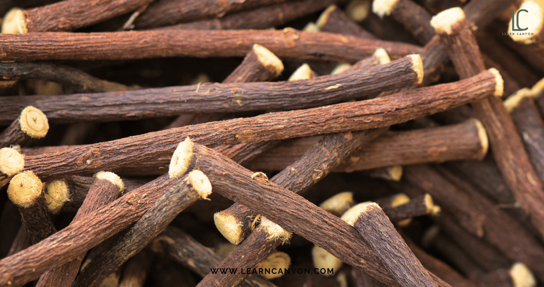 Ayurvedic Skincare Ingredients