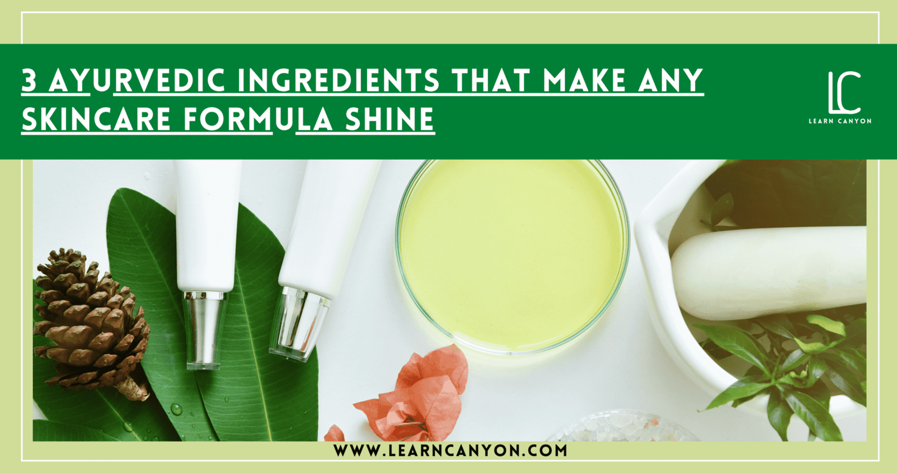3 Ayurvedic Ingredients That Make Any Skincare Formula Shine