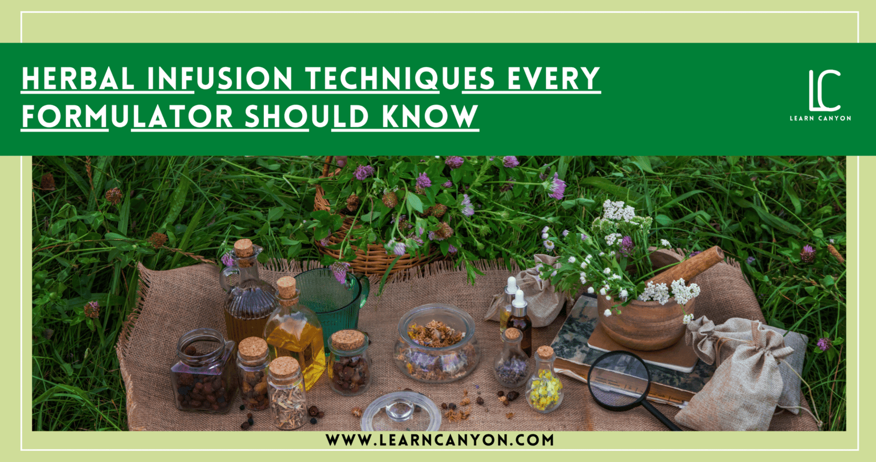 Best Herbal Infusion Techniques Every Formulator Should Know
